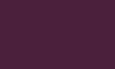 RAL 4007 Purple Violet