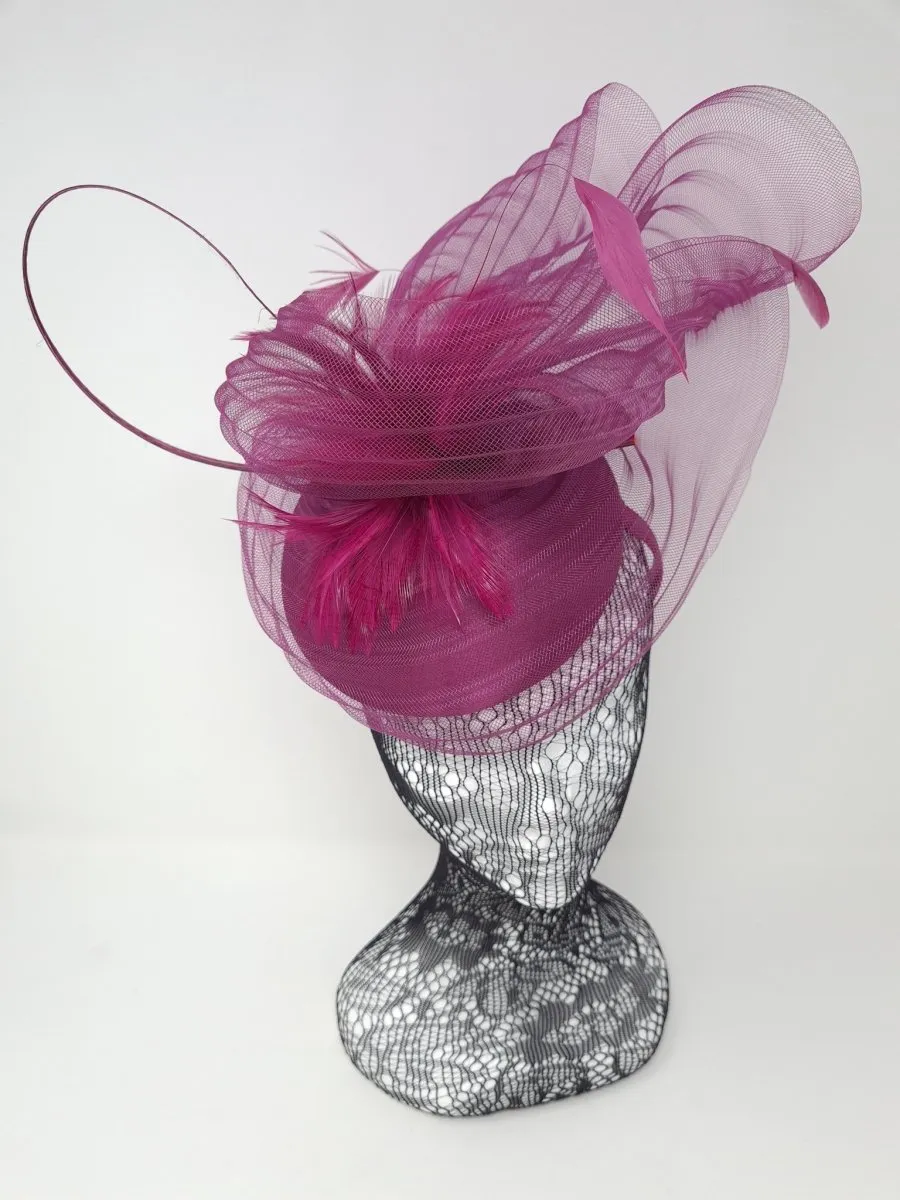 Raspberry Feather Perched Net Fascinator